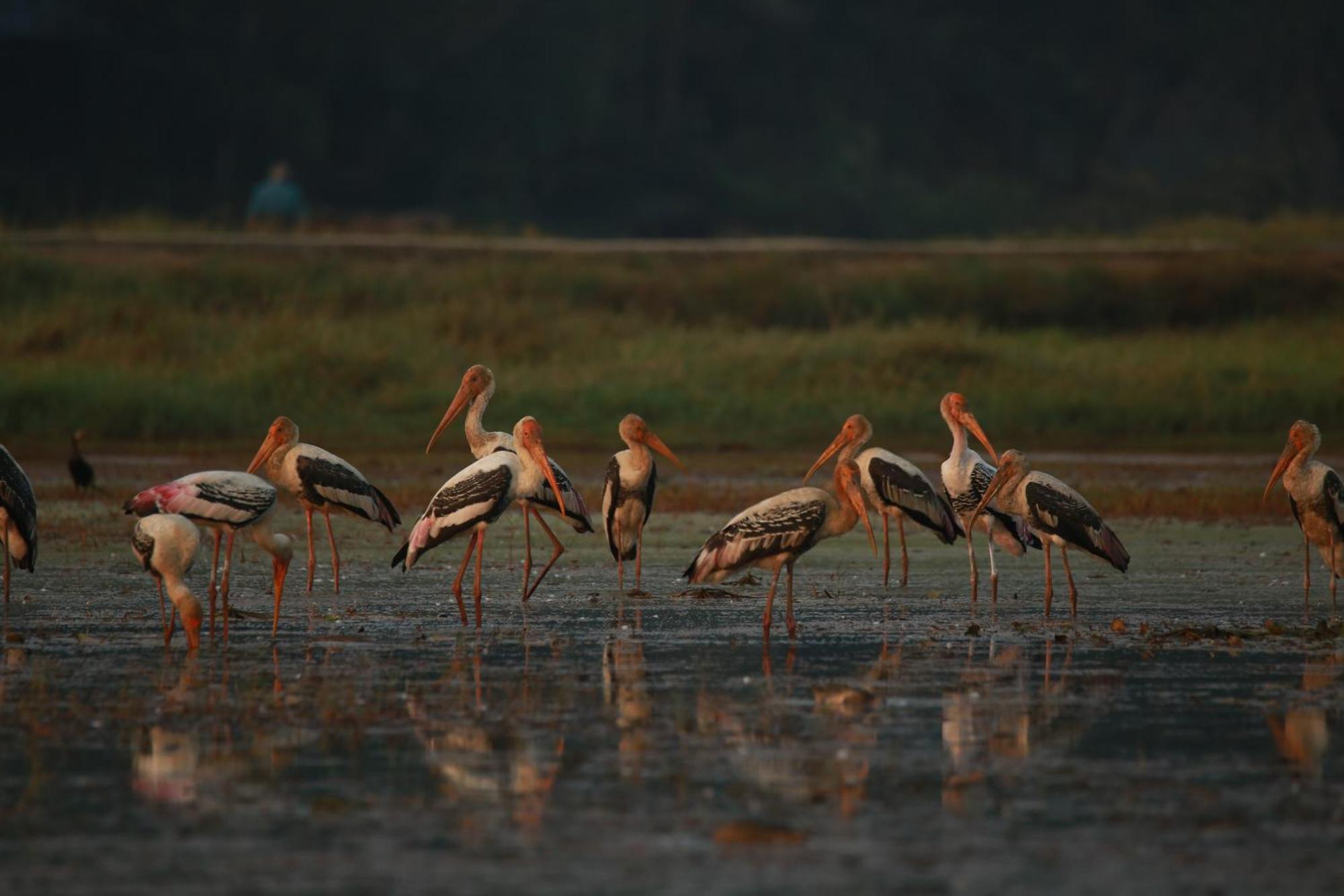 Cranganor History Cafe & Riverside Chateau North Paravur Экстерьер фото