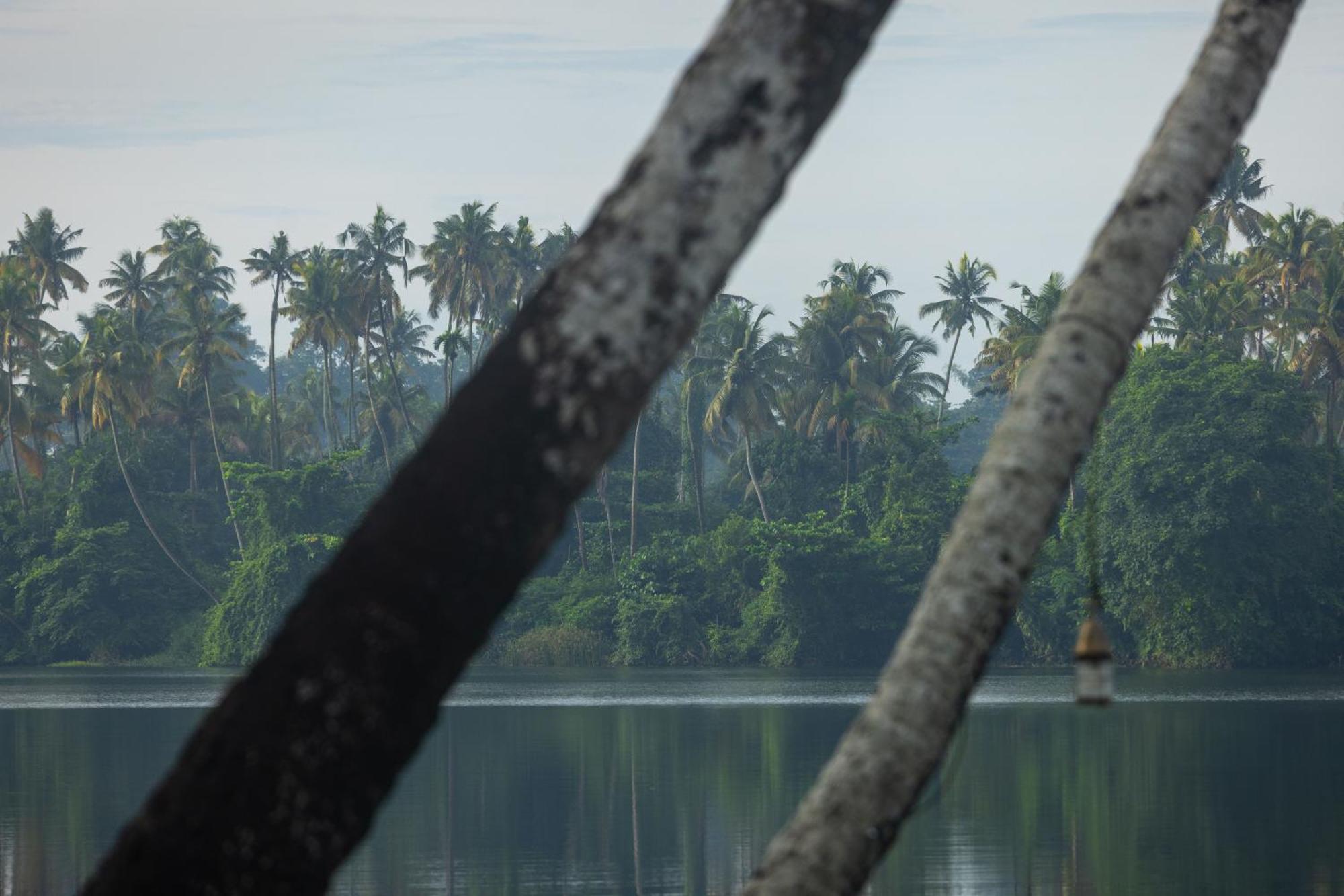Cranganor History Cafe & Riverside Chateau North Paravur Экстерьер фото