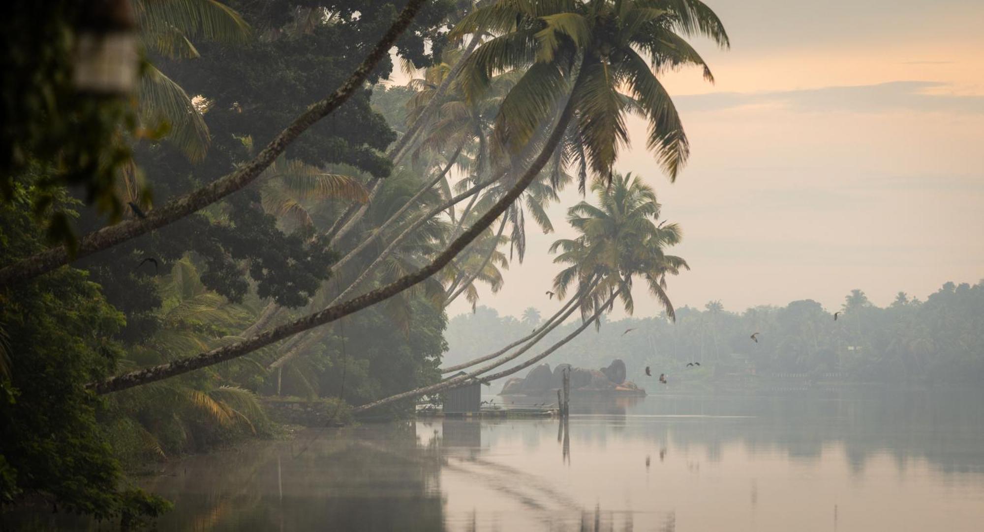 Cranganor History Cafe & Riverside Chateau North Paravur Экстерьер фото